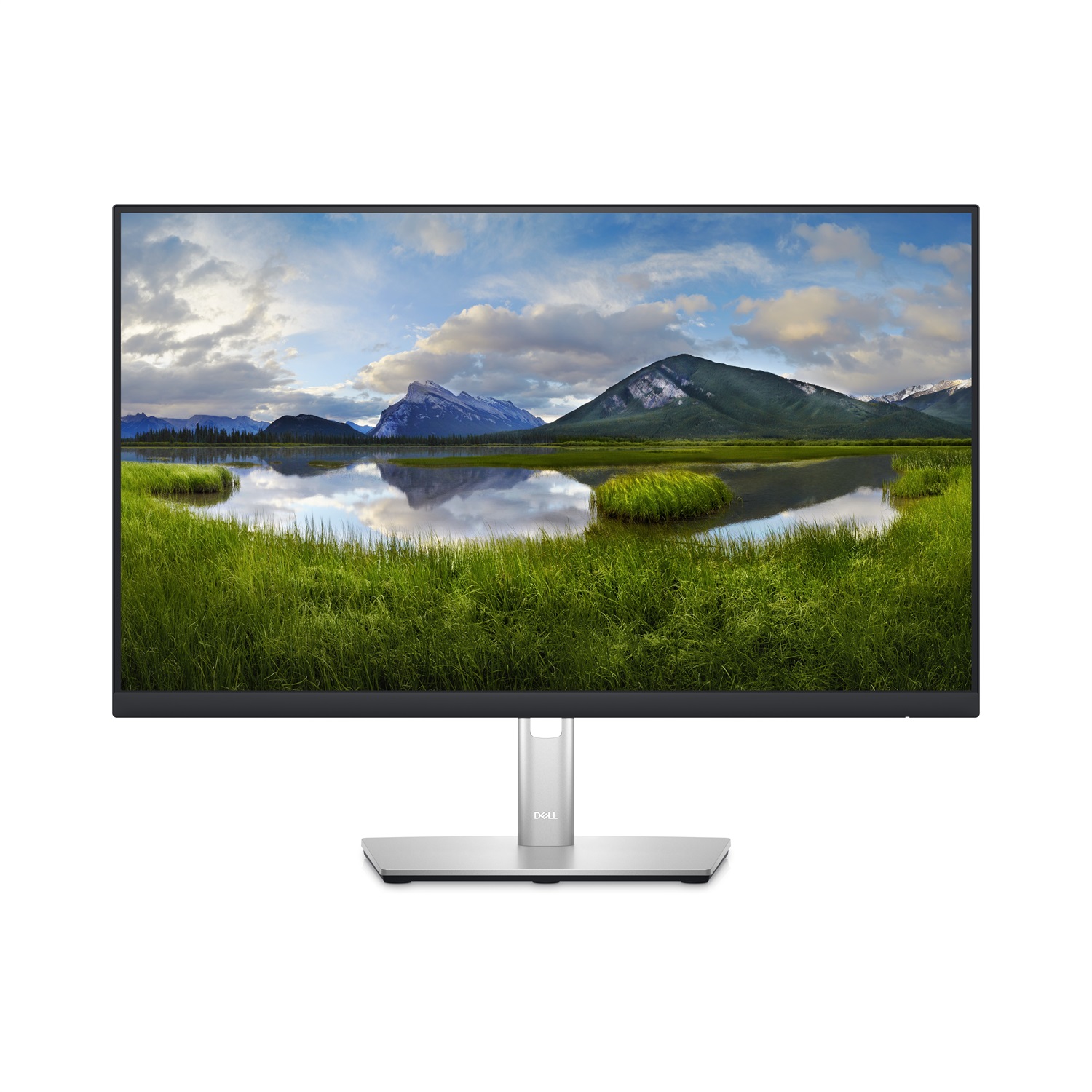 DELL P2423D Monitor QHD 24