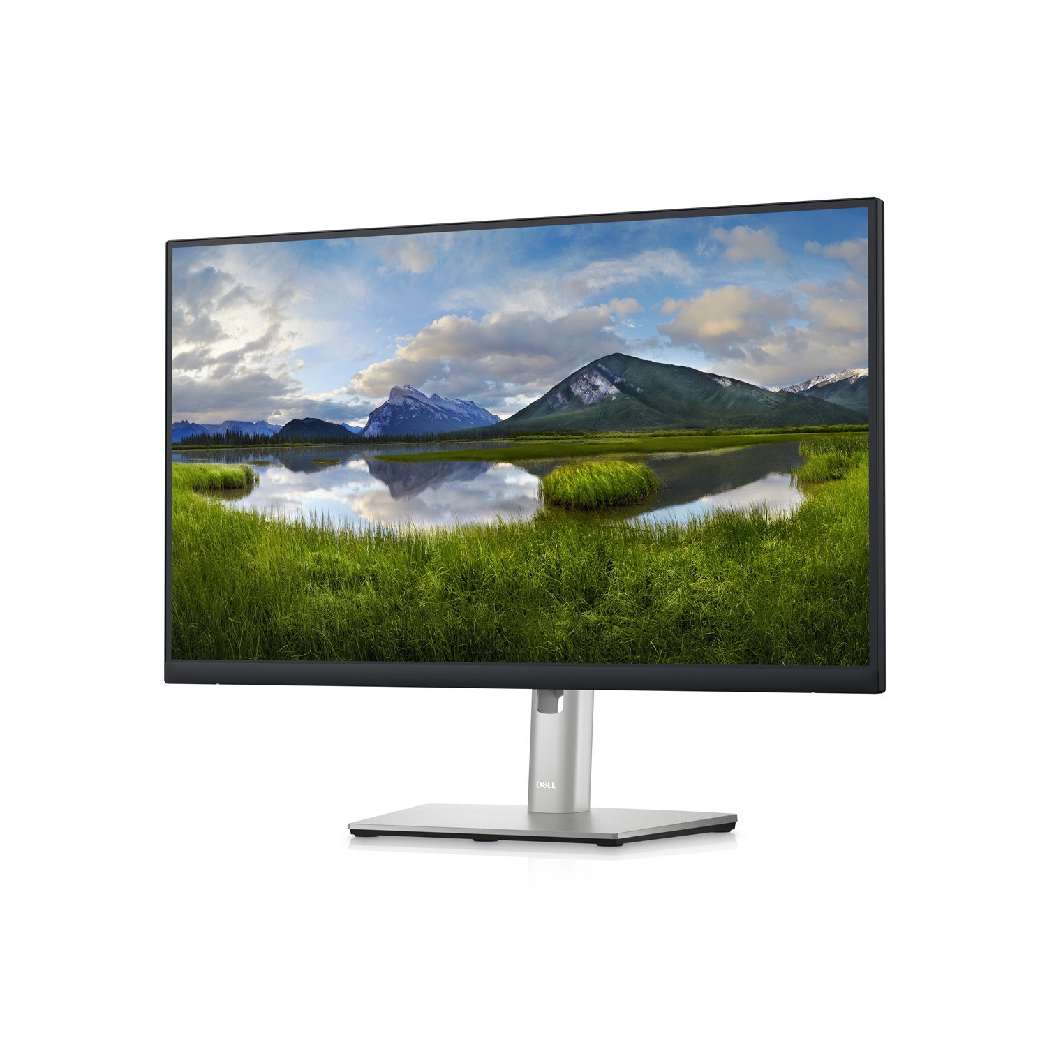 DELL P2423D Monitor QHD 24