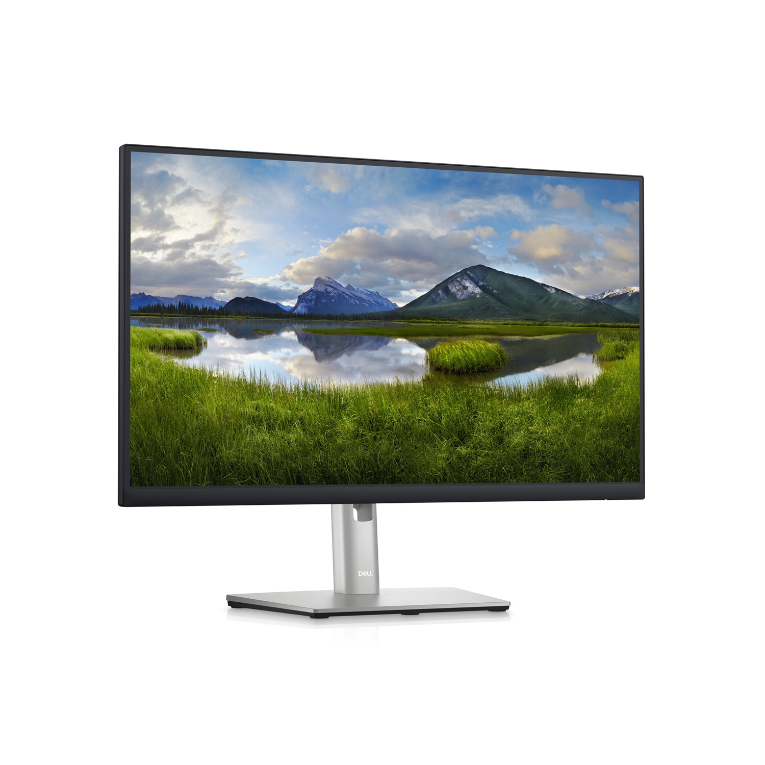 DELL P2423D Monitor QHD 24