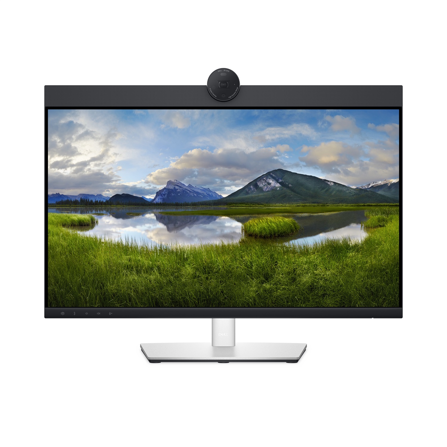 DELL P2424HEB Monitor 23.8