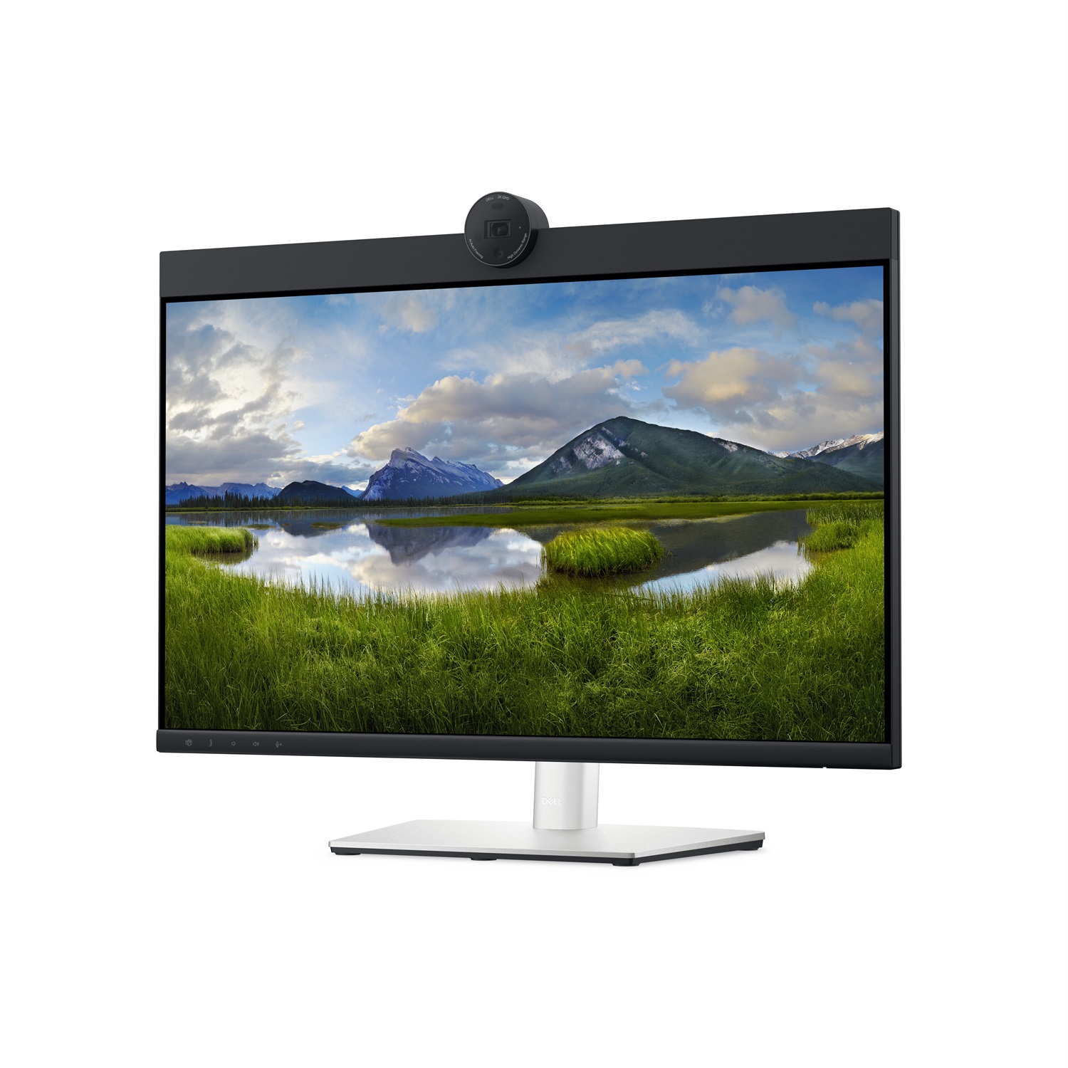DELL P2424HEB Monitor 23.8