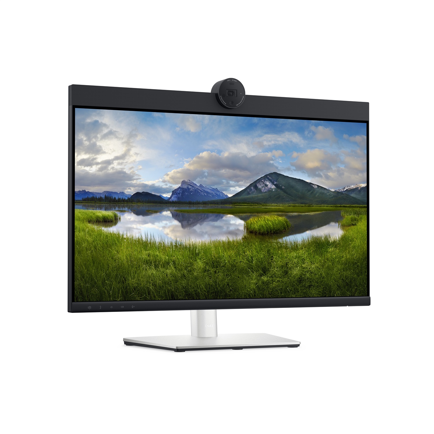 DELL P2424HEB Monitor 23.8