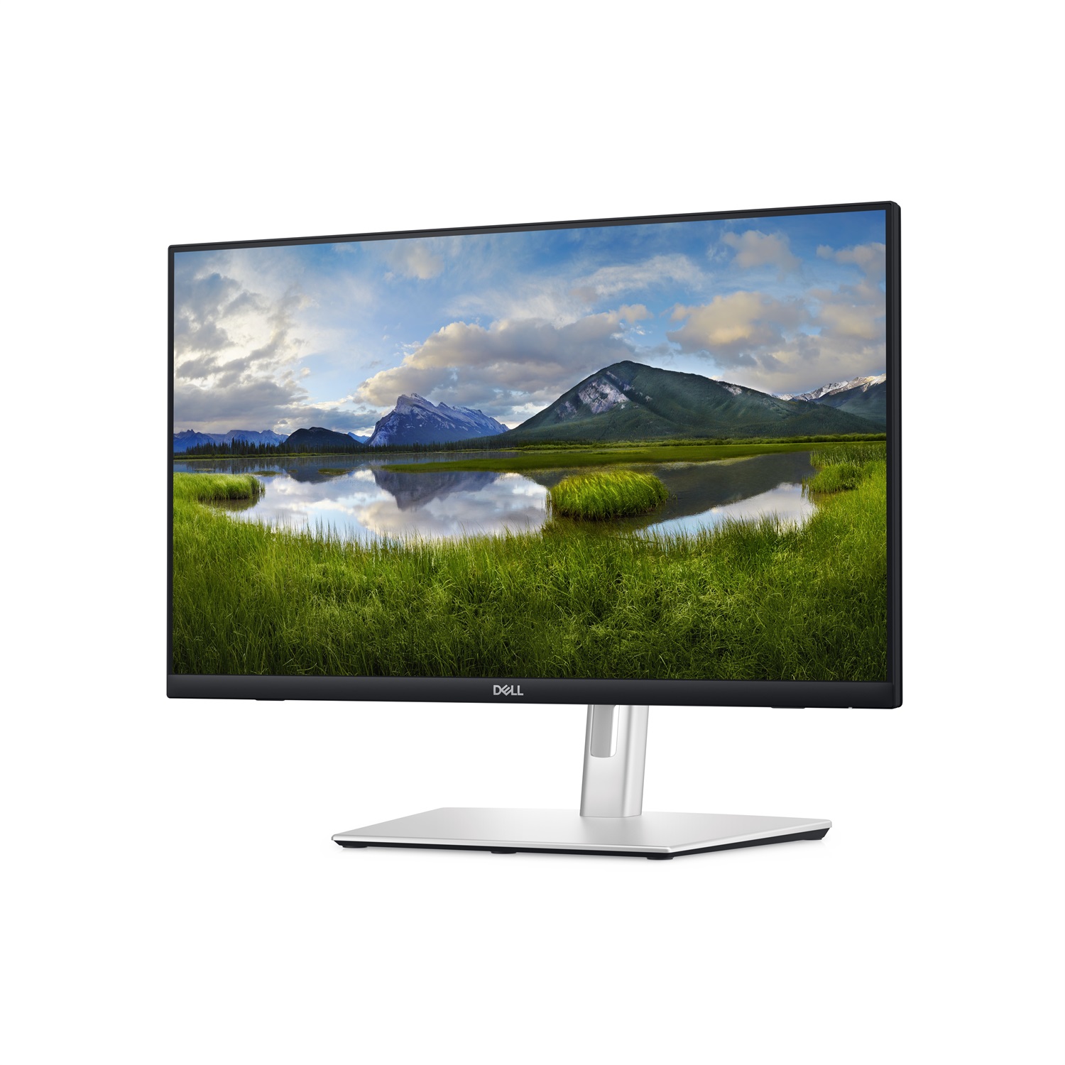 DELL P Series P2424HT Monitor 24