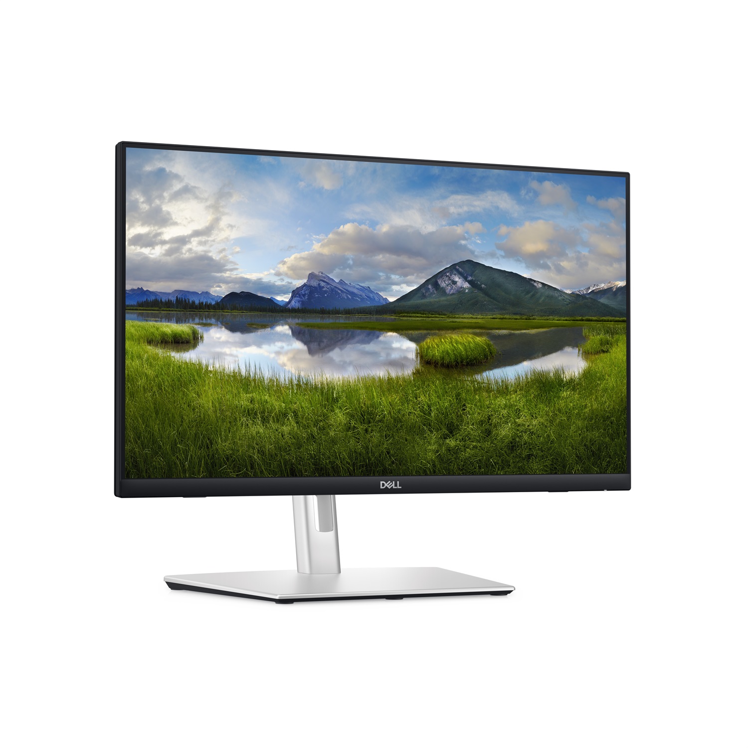 DELL P Series P2424HT Monitor 24