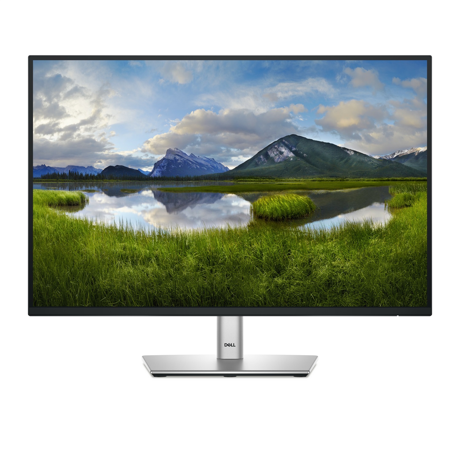 DELL P Series P2425 Monitor 24.1