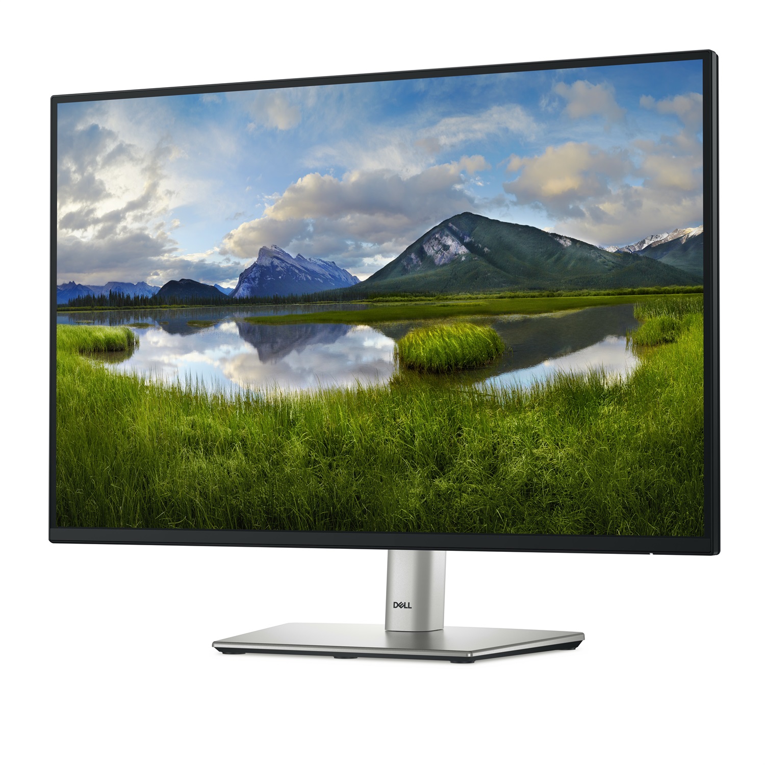 DELL P Series P2425 Monitor 24.1