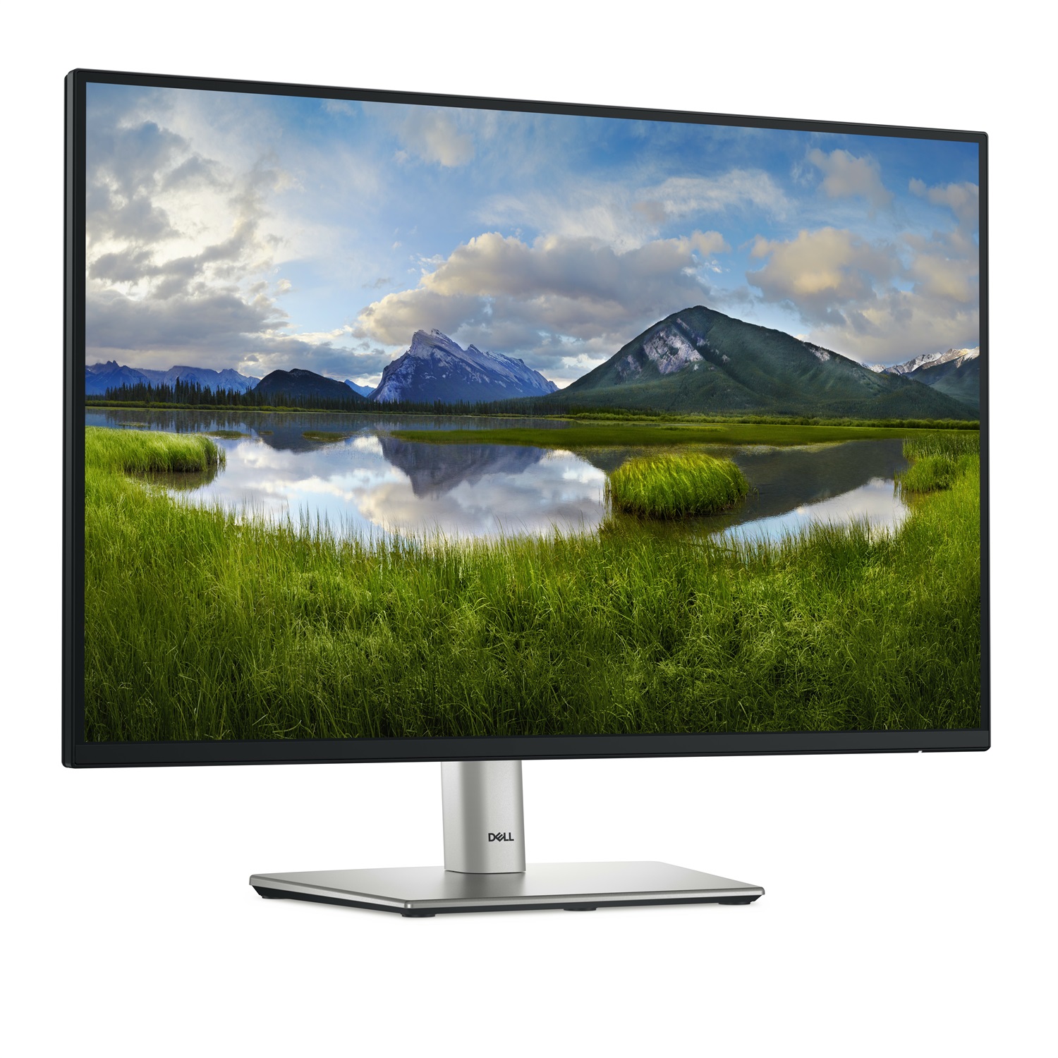 DELL P Series P2425 Monitor 24.1