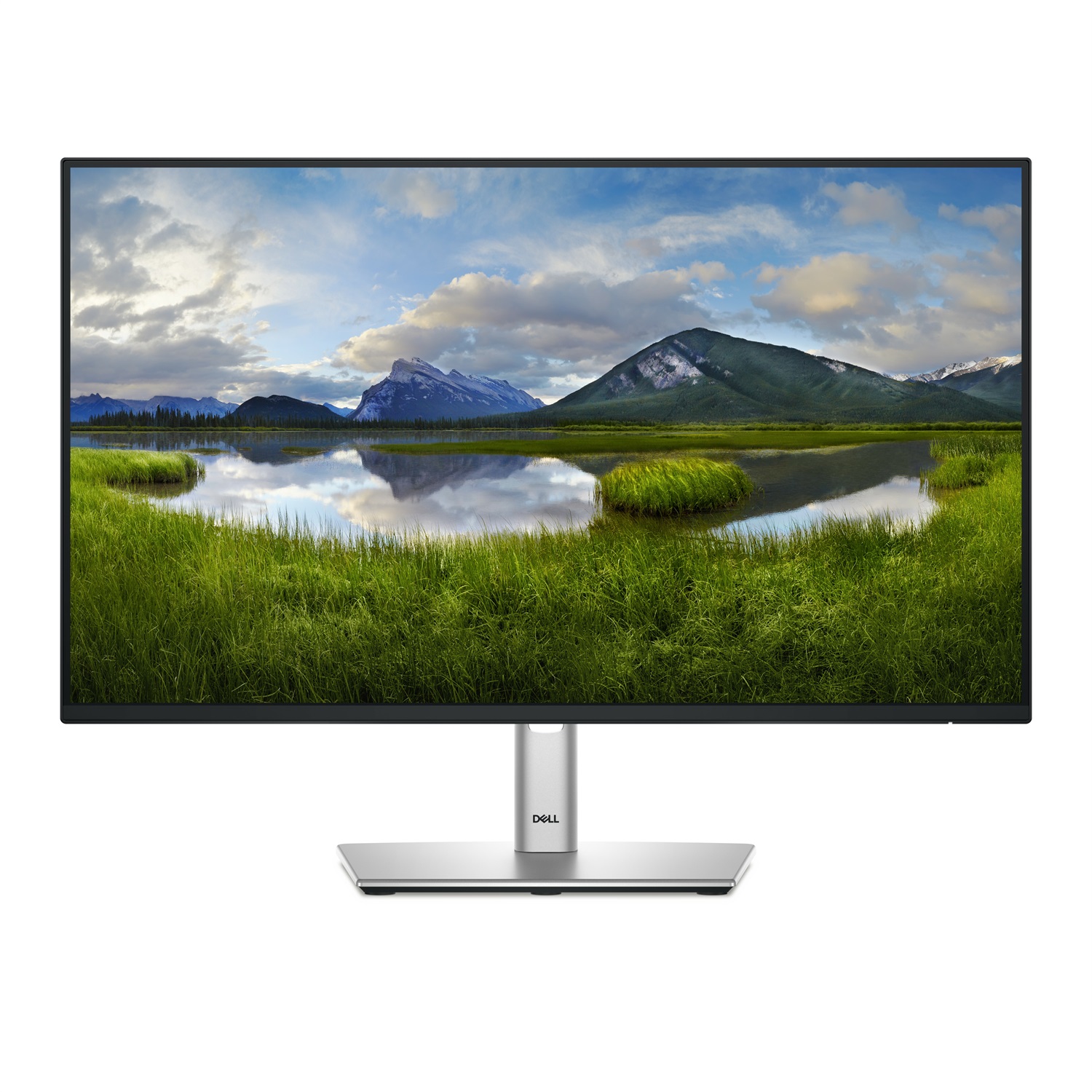 DELL P Series P2425HE Monitor 24