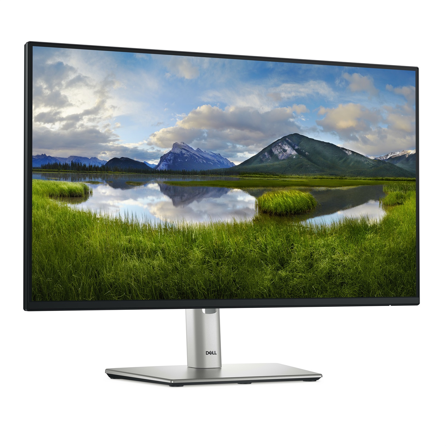 DELL P Series P2425HE Monitor 24