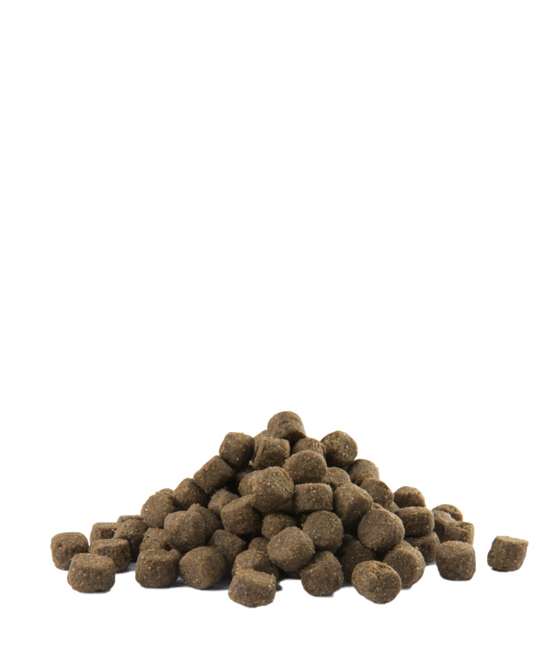 Versele-Laga Opti Life Adult Digestion Medium & Maxi - Crocchette per cani di taglia media e grande - 12,5 kg - Alimento completo, ipoallergenico e senza glutine