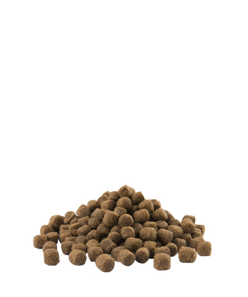 Versele-Laga Opti Life Mini Adult Digestion con Agnello e Riso 2,5 kg - Alimento Secco per Cani Adulti di Piccola Taglia