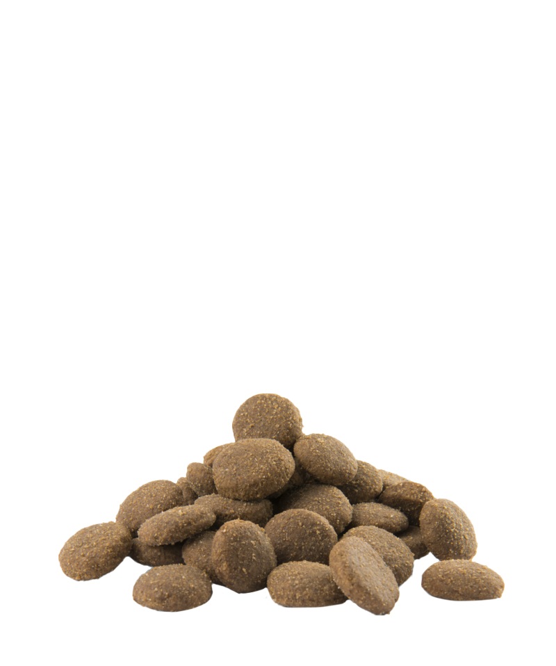 Versele-Laga Opti Life Adult Maxi Pollo e Riso 12,5 kg - Alimento secco completo per cani adulti di taglia grande e gigante