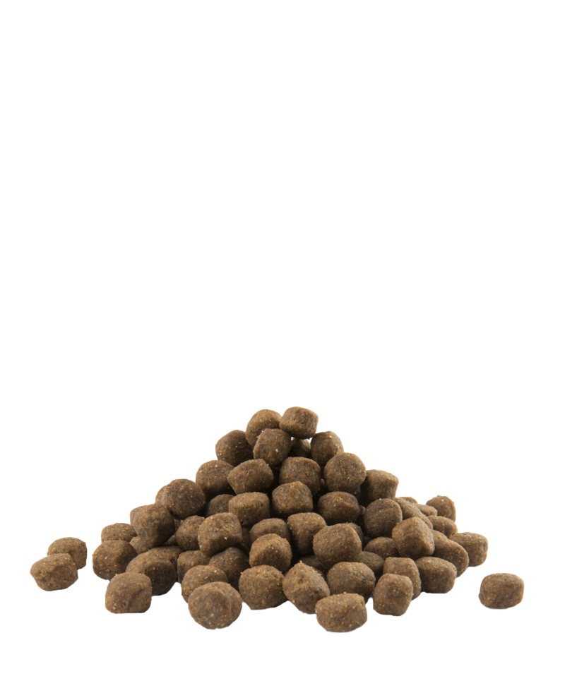 Versele-Laga Opti Life Puppy Maxi - Cibo secco per cuccioli di razze grandi e giganti con pollo e riso - 12,5 kg