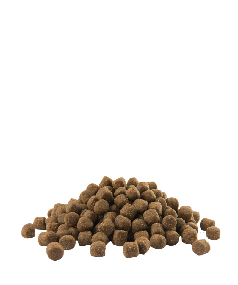 Versele-Laga Opti Life Puppy Medium 12,5 kg - Cibo Secco per Cuccioli di Taglia Media con Pollo e Riso, Senza Glutine