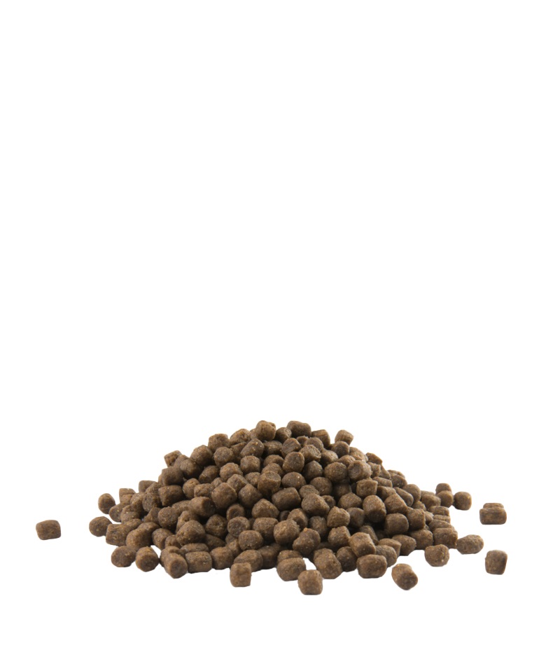 Versele-Laga Opti Life Puppy Mini Alimento Secco per Cuccioli di Piccole Razze con Pollo e Riso - 2,5 kg