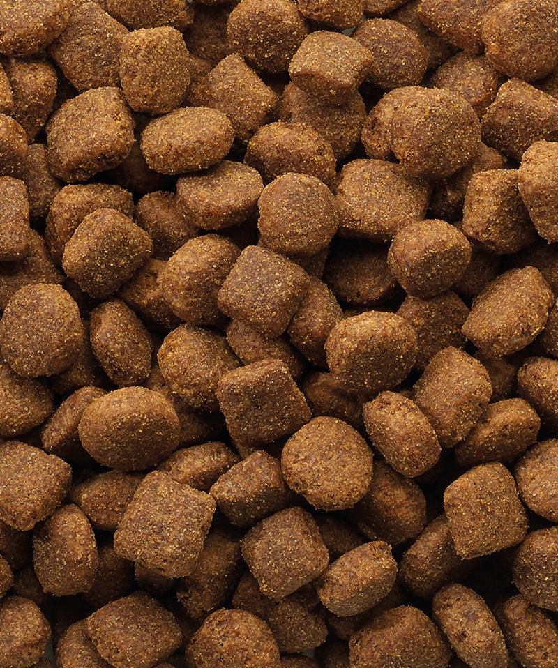 Versele-Laga Classic Agnello e Riso 20kg - Alimento Secco Completo per Cani Adulti di Tutte le Razze, Facile da Digerire