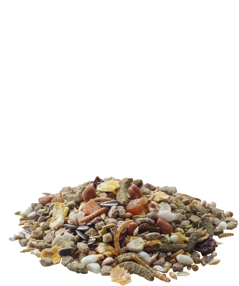 Versele-Laga Hamster Nature - Alimento Completo per Criceti 700 g con Cereali, Frutta a Guscio e Camole della Farina