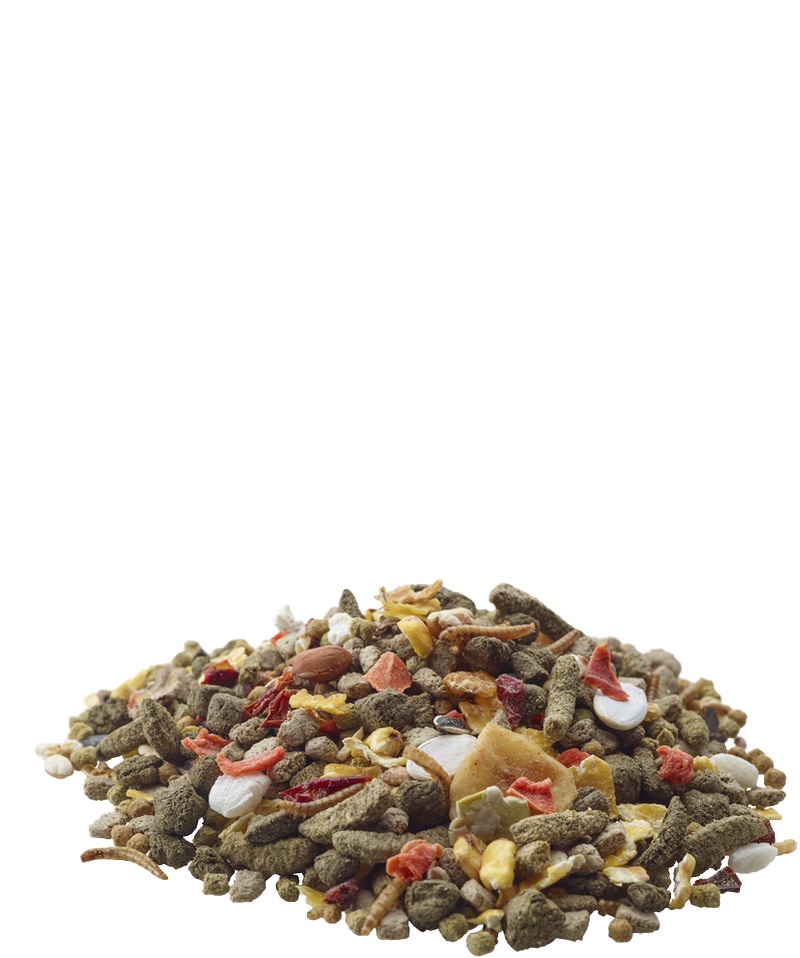 Versele-Laga Gerbil Nature Müsli Completo per Gerbilli - 700 g con Cereali, Semi, Verdure e Camole della Farina