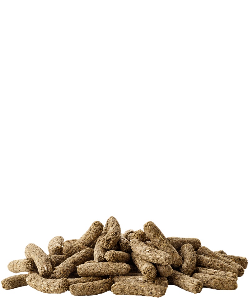 Versele-Laga Cuni Adult Complete - Mangime estruso completo per conigli adulti, 8 kg, ricco di fibre e vitamine