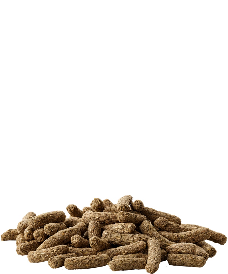 Versele-Laga Cavia Complete - Alimento Estruso Completo per Porcellini d'India - 8 kg con Vitamina C e Fibre Lunghe
