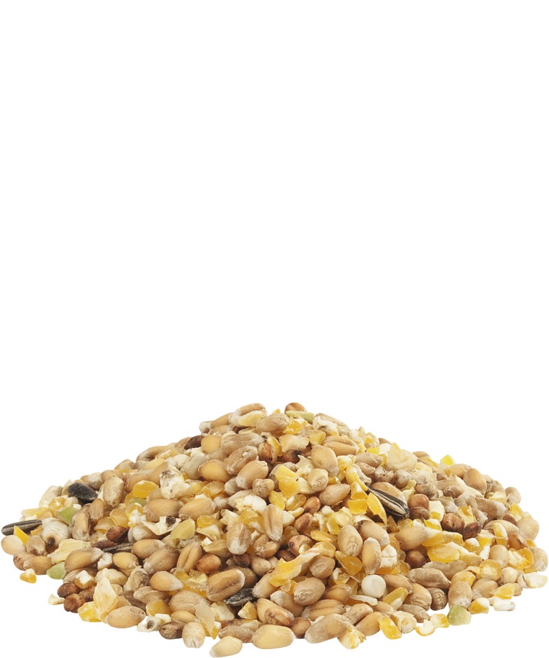 Versele-Laga Country's Best Gra-Mix Ardennese - Miscela per Pollame 4 kg con Mais, Semi di Girasole e Piselli