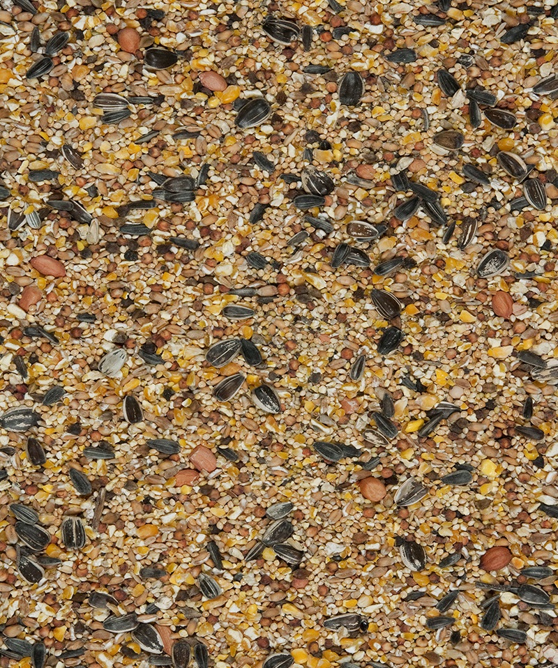 Versele-Laga Menù Nature 4 Seasons Blend - Cibo per Uccelli Selvatici - 4 kg - Miscela di Cereali, Semi e Noci