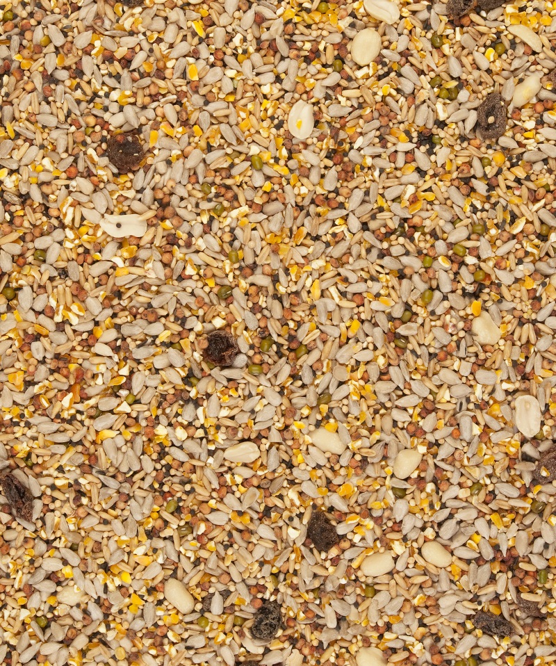 Versele-Laga Menù Nature Clean Garden Blend - Cibo per Uccelli Selvatici 2,5 kg - Nutriente e Privo di Gusci