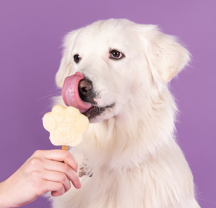 Smoofl Gelato per Cani al Gusto Banana - Mix per Gelato 160 g con 10 Bastoncini Comestibili, Pronto in 60 Secondi