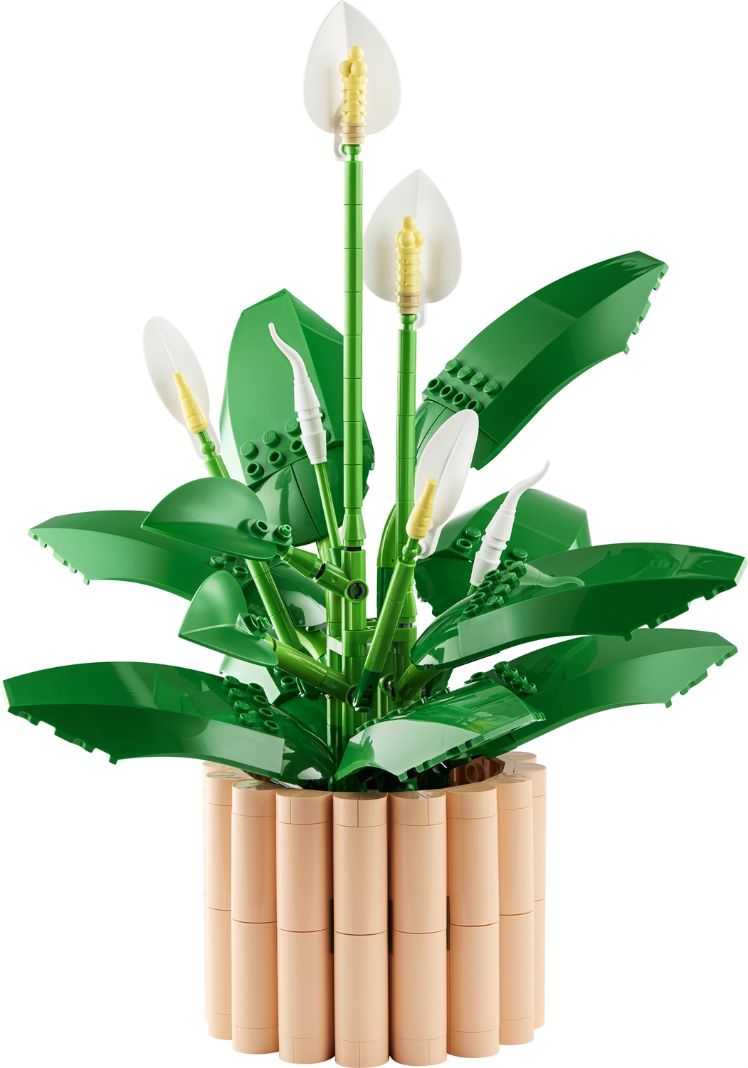 LEGO Spatifillo - Kit di costruzione Botanicals 11504 per adulti, decorazione elegante e creativa
