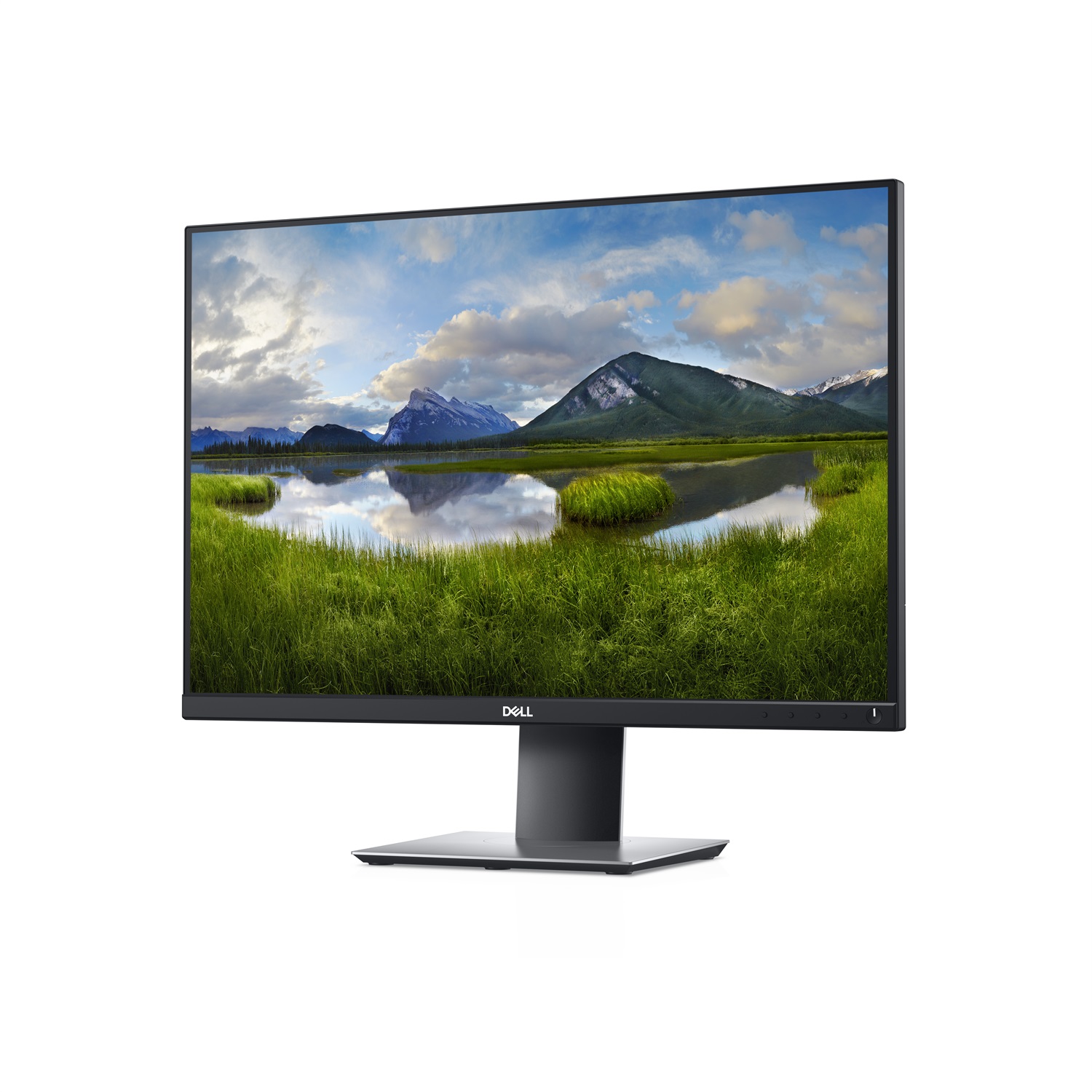 DELL P2421 Monitor PC 61,2 cm (24.1