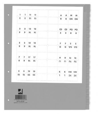 Q-CONNECT Divisore Extra Large Grigio in Polipropilene (PP) 24x29,7 cm - 20 Fogli con Indice Frontale e 4 Fori