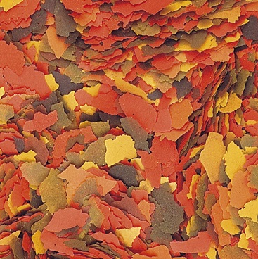 Tropical SuperVit 100ml - Mangime Universale in Scaglie per Pesci Onnivori