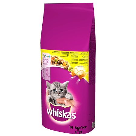 Whiskas Junior Cibo Secco per Gatti con Pollo - 14 kg, Alimento Completo per Gattini fino a 12 Mesi
