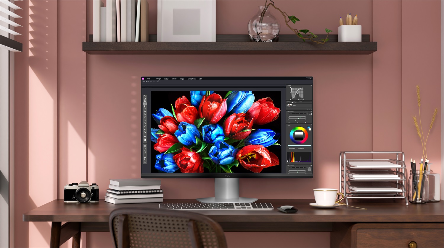 TCL 25G54 Monitor PC 25