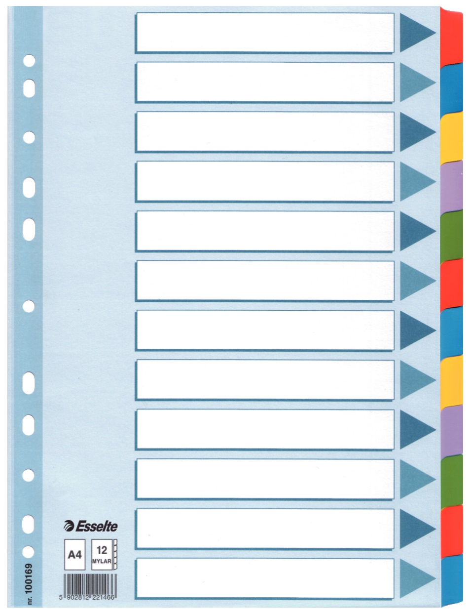 Esselte Intercalare A4 con 12 Tasti Colorati e Rinforzo Mylar - Cartoncino Robusto 160 gr/mq