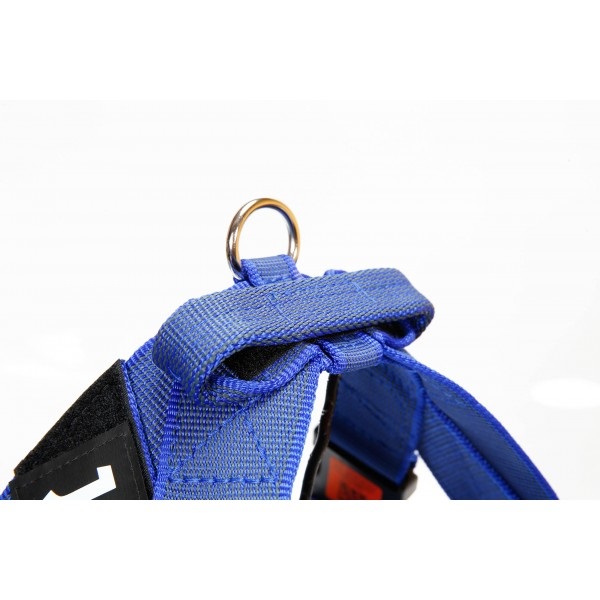 Julius-K9 Pettorina a Fascia Color & Gray, Taglia 3, Blu/Grigio, Circonferenza Toracica 82-115 cm, Peso Cane 40-70 kg, Ergonomica e Traspirante