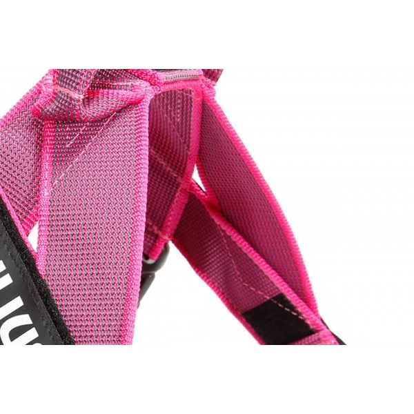 Julius-K9 IDC Belt Harness Rosa/Grigio Taglia 1 (63-85 cm) - Pettorina Ergonomica e Traspirante per Cani
