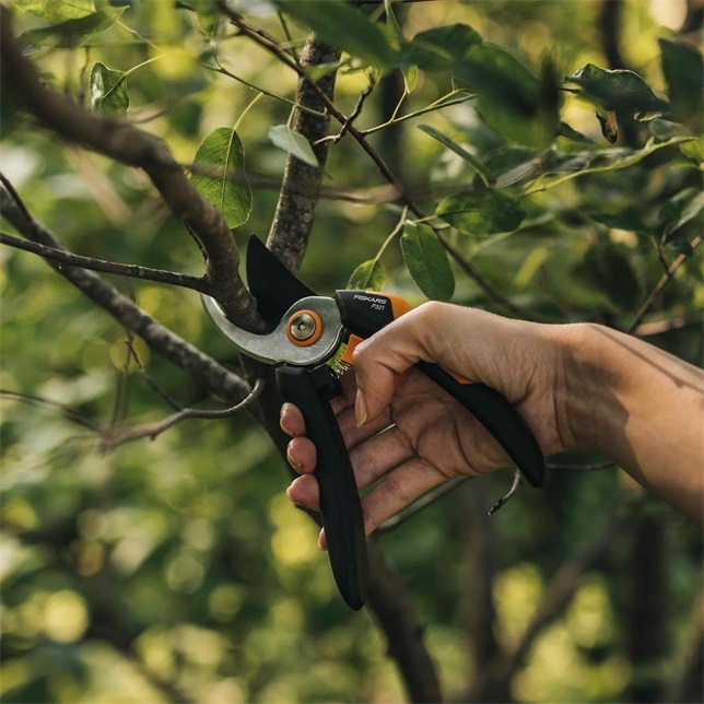 Fiskars Forbici da Giardino Solid M P321 - Cesoie Bypass per Rami Freschi e Ramoscelli, Lame in Acciaio Inox, Rivestimento Antiaderente, Lunghezza 20,1 cm, Nero/Arancione
