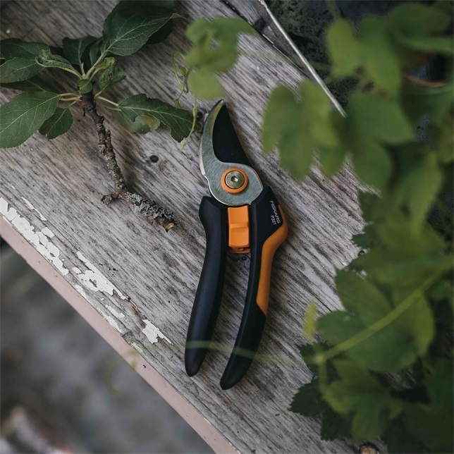 Fiskars Forbici da Giardino Solid M P321 - Cesoie Bypass per Rami Freschi e Ramoscelli, Lame in Acciaio Inox, Rivestimento Antiaderente, Lunghezza 20,1 cm, Nero/Arancione