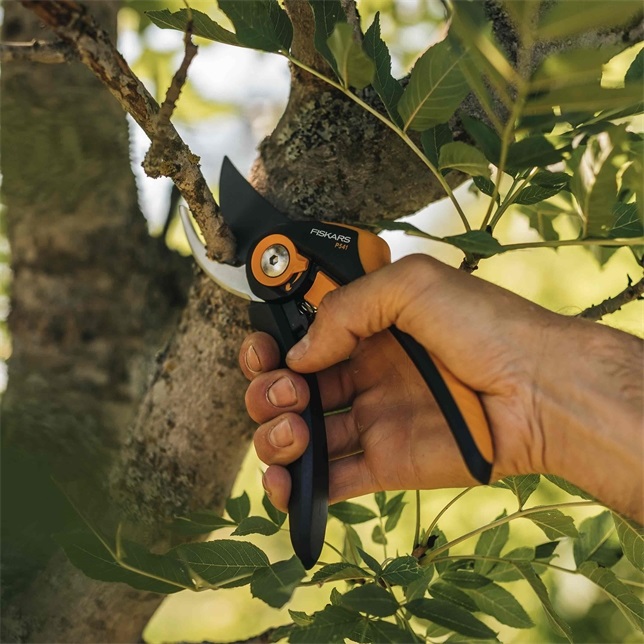 Fiskars Forbici da Potatura Plus SmartFit P541 con Lame Bypass, Lunghezza 20,1 cm, Capacità di Taglio Fino a 2,4 cm, Rivestimento Antiaderente, Nero/Arancione
