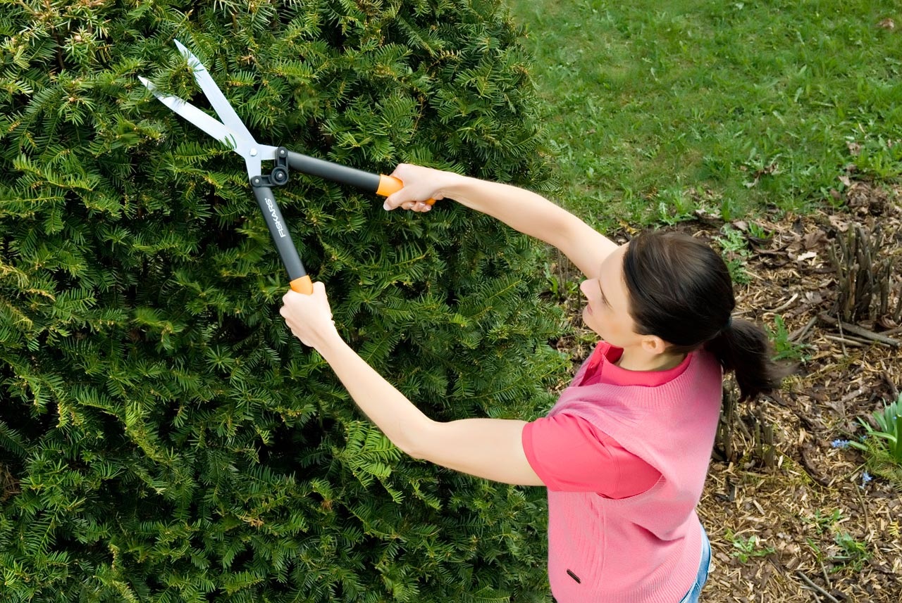 Fiskars GG114750 Cesoie per siepi Arancio/Nero - Cesoie a cremagliera per potare e modellare siepi, adatte per destrimani e mancini