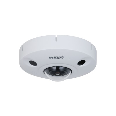 Dahua Technology WizMind DH-IPC-EBW81242-AS-S2 Telecamera di Sorveglianza Fisheye IP Esterno 12MP PoE Onvif IP67 IK10