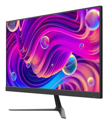 Hikvision DS-D5024F2-BV2S Monitor LED 23.8