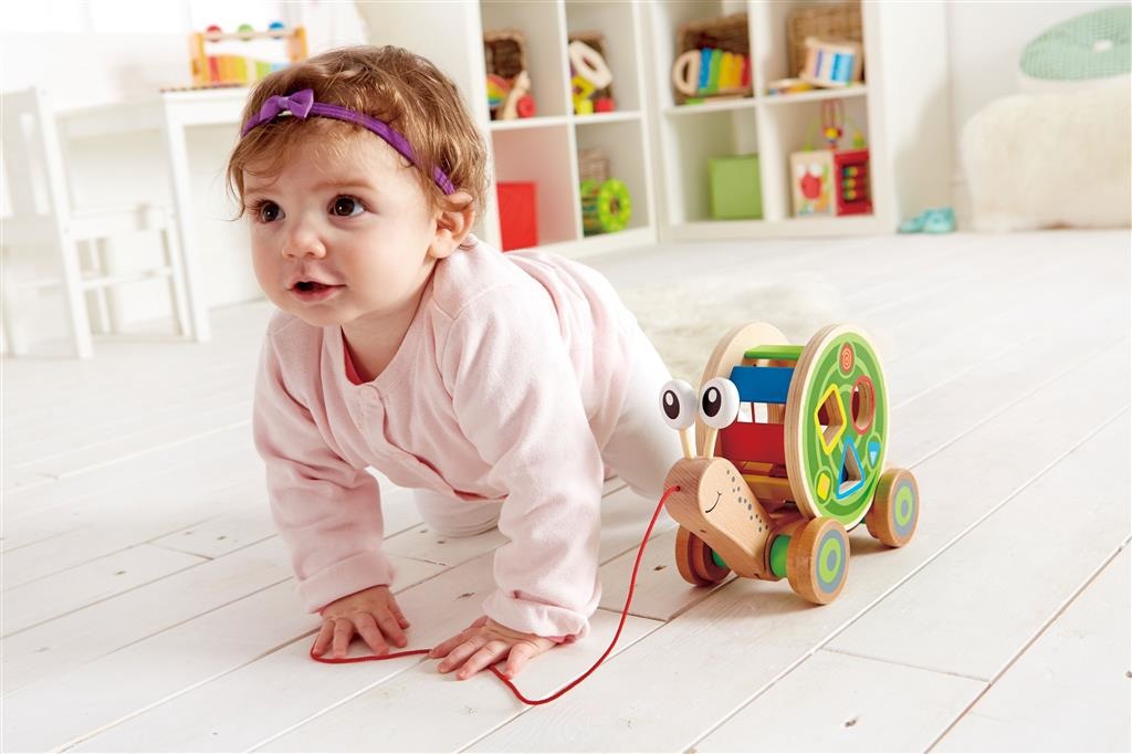 Hape Lumaca da Tirare in Legno con Guscio Rimovibile e Blocchetti di Forme