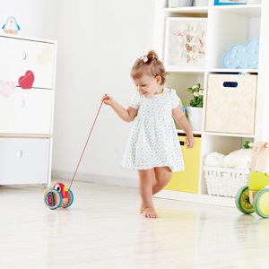 Hape Uccellino Trainabile Spingi&Tira - Pappagallino in Legno con Cordino e Rotelle per Bambini dai 12 Mesi