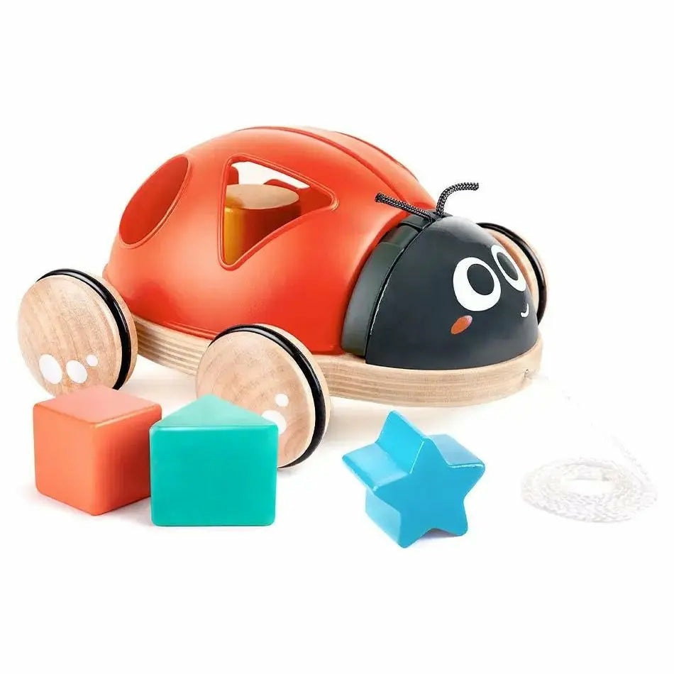 Hape Coccinella Selezionatore di Forme 12M | Giocattolo in Legno 2 in 1 Trainabile con Guscio Apribile e Forme a Incastro