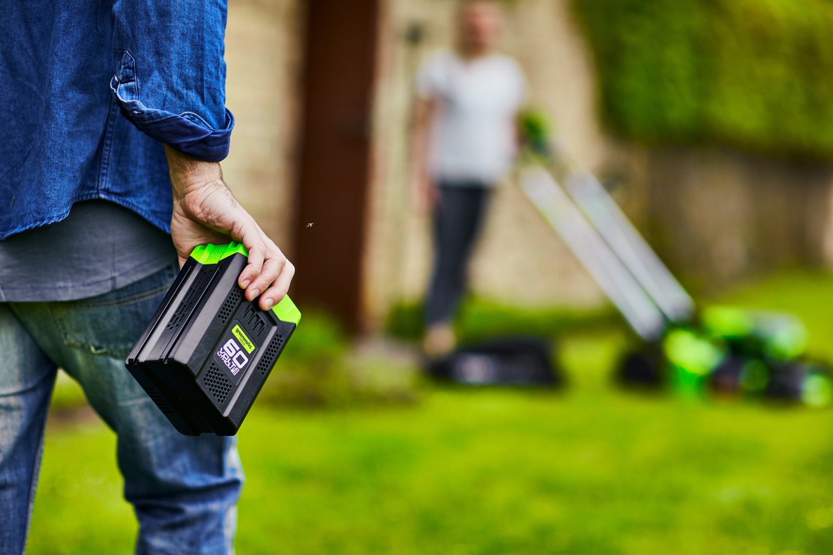 GREENWORKS Batteria 60V 2Ah G60B2 - Alta Prestazione con Indicatori LED
