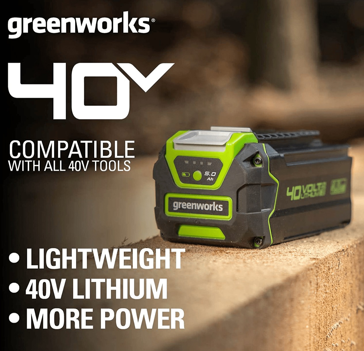 Greenworks Batteria 40V 5Ah - Batteria agli Ioni di Litio con Ricarica Rapida, Indicatore LED e Garanzia 2 Anni