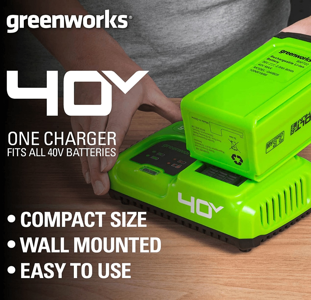Greenworks Caricabatterie Rapido 40V 5AH con Raffreddamento Integrato e LED Indicatore