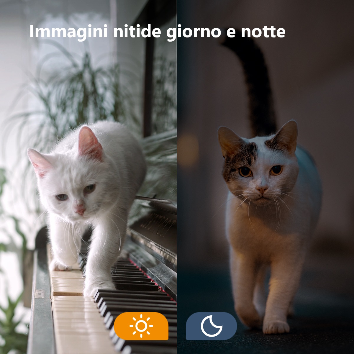 Imou Versa Telecamera di Sicurezza 2MP Wi-Fi Bianco per Interno/Esterno con Sirena, Faretto e Rilevamento Persone